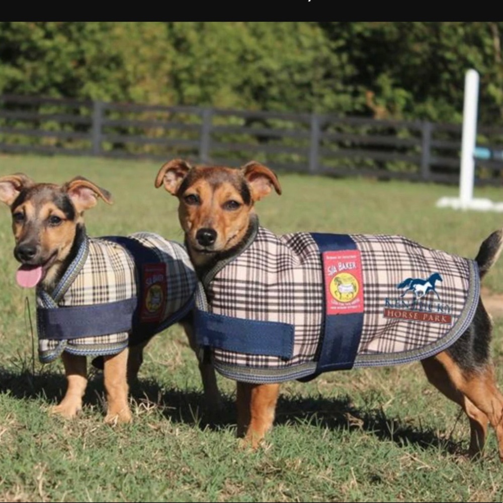 Bake Dog Coat